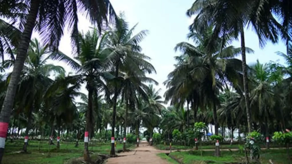 best-managed farmland near me 