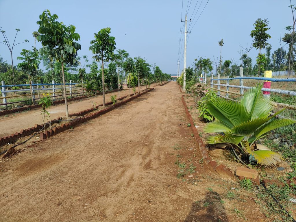 agricultural land for sale near me