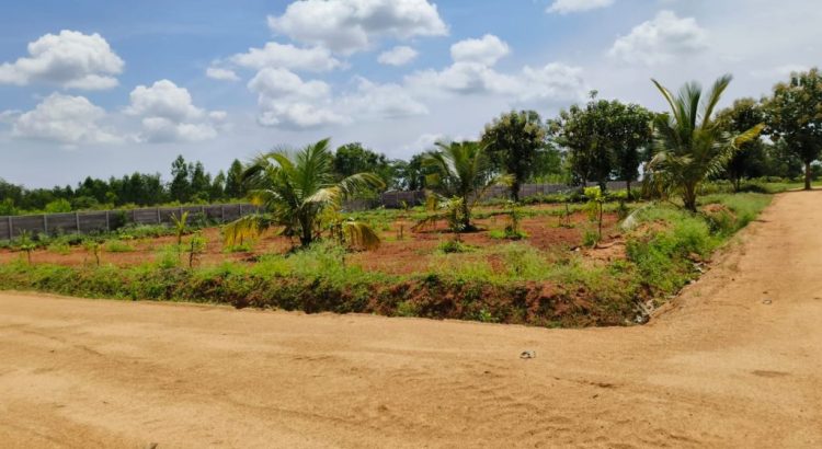 premium farmland near bangalore