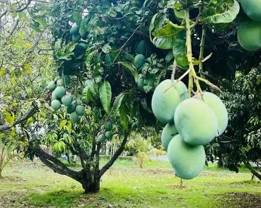 farms near bangalore