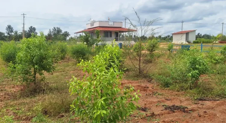 Managed farmland near bangalore