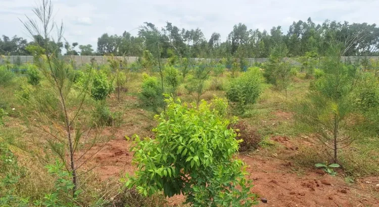 farms near bangalore