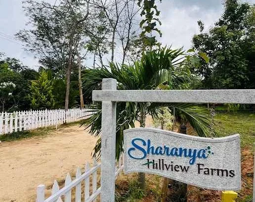 Biggest farmland projects